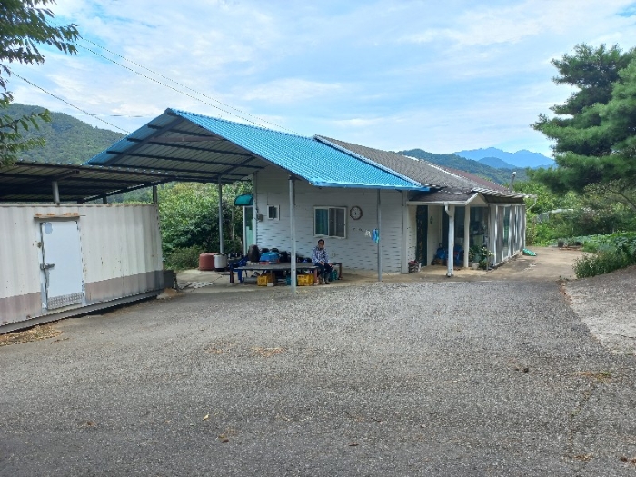 토지 일련번호5)