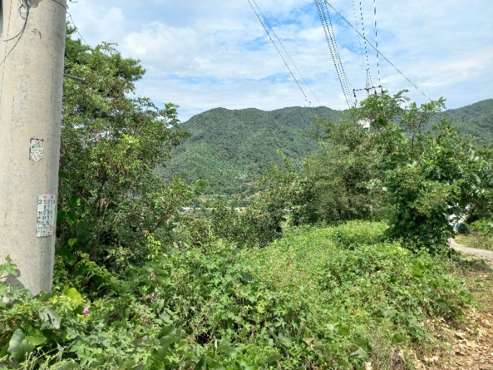 토지 일련번호6)