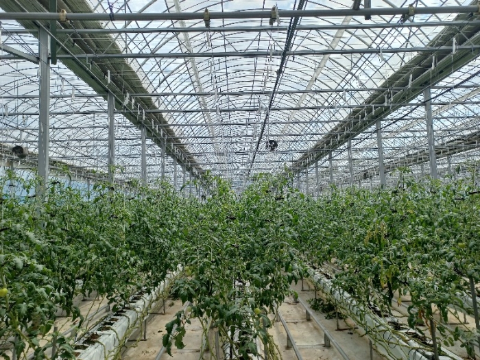 제시외건물㉣)의 관수설비, 레일