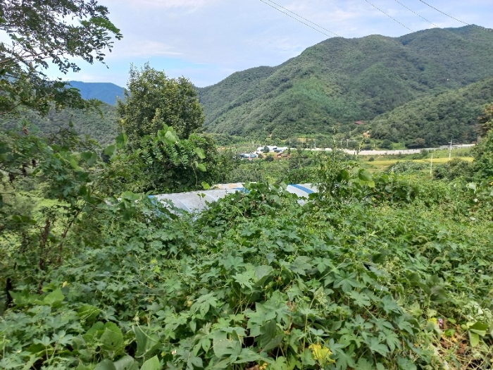 토지 일련번호6) 소재 철거가 용이한 비닐하우스