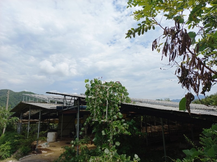 건물 일련번호14-라, 14-마) 지붕 위 소재 소유자미상의 태양광발전설비