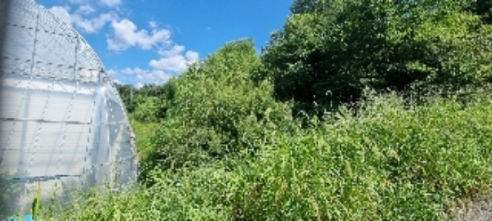 장수 계남 침곡 1364-12 경매물건2번 현황 사진