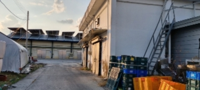 남원 운봉 행정 260-1,-7,324-2,323-5 슬래브 지붕 단층 기계포장실/저온창고(우측 부분) 공장