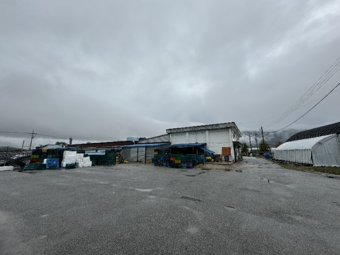 일련번호(4) 토지 전경