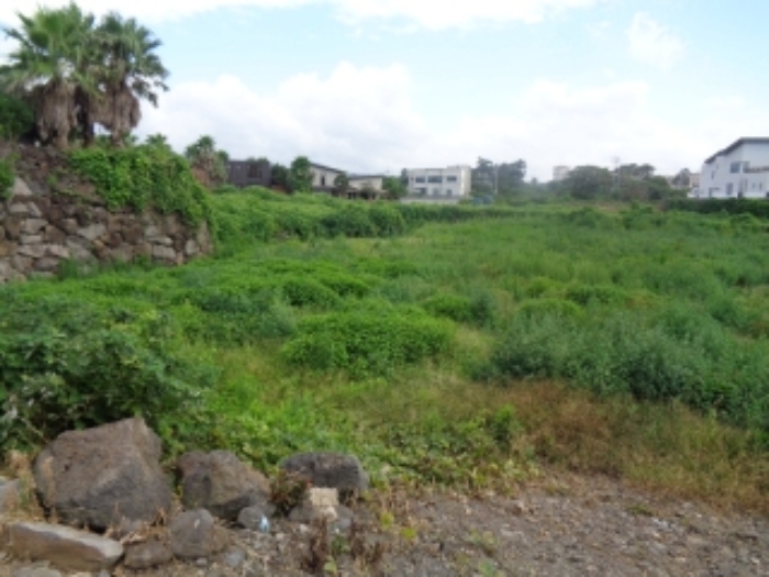 본건 소재지1(신엄리 2858) 전경 사진