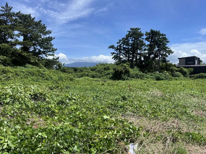 본건 기호(2) 전경