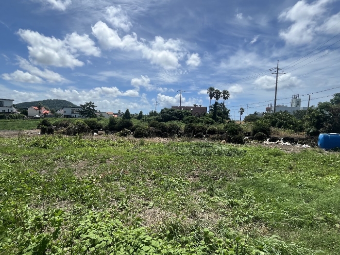 본건 기호(2) 전경