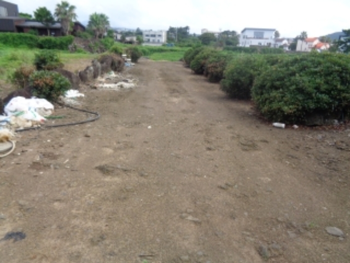 본건 소재지1(신엄리 2858) 전경 사진