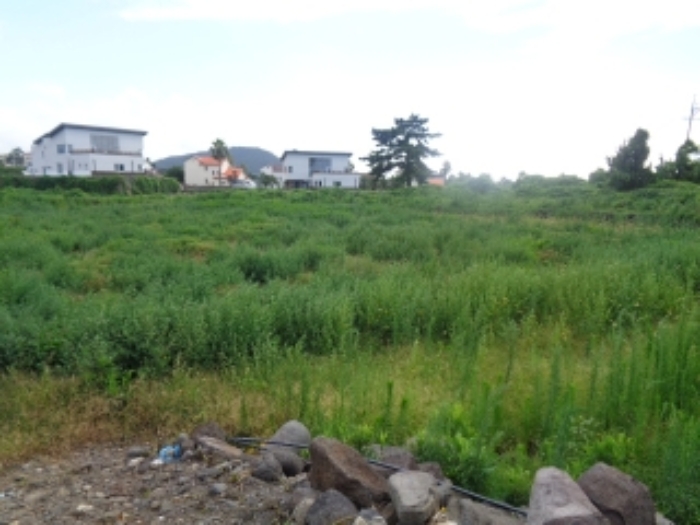 본건 소재지1(신엄리 2858) 전경 사진