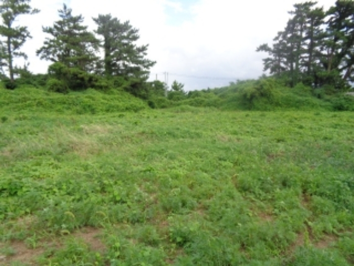 본건 소재지2(신엄리 2863-1) 전경 사진