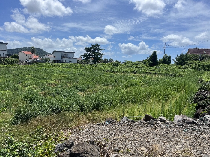 본건 기호(1) 전경