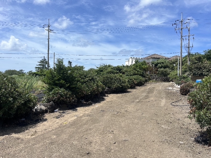 본건 기호(1) 전경