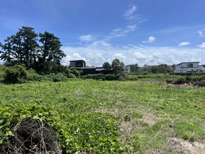 본건 기호(2) 전경