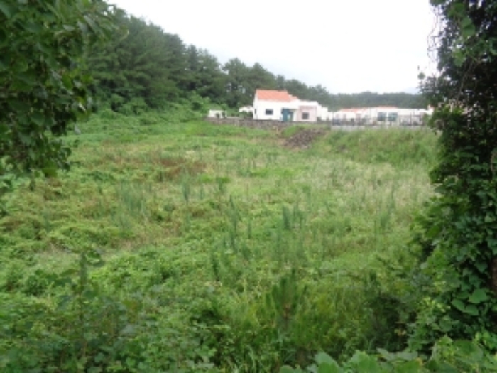 소재지1(유수암리 1654-2) 전경 사진