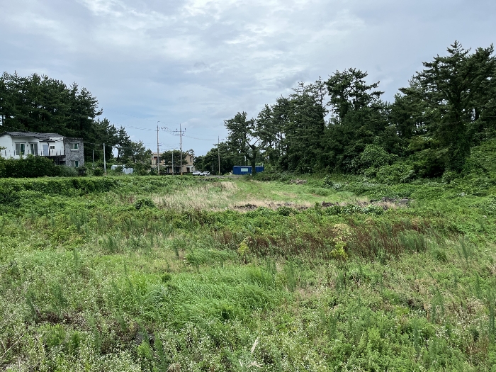 본건 남측 전경