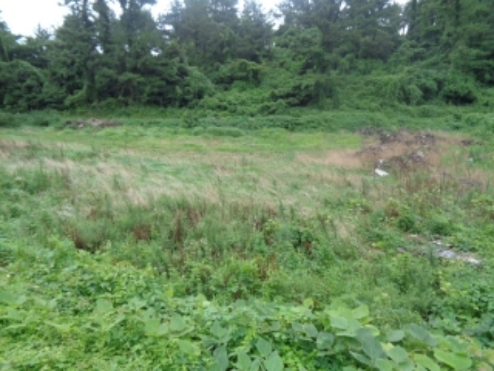 소재지2(유수암리 1673-1) 전경 사진