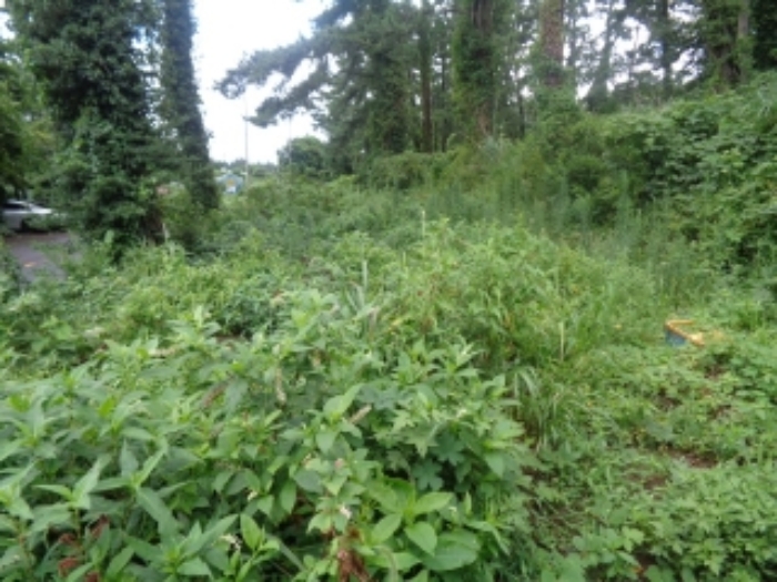 소재지3(유수암리 1672-1) 전경 사진