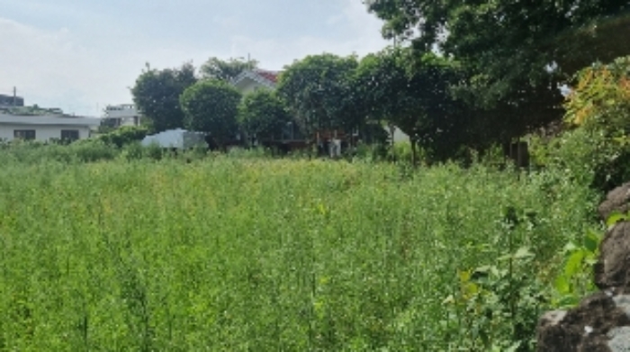 소재지1(보목동