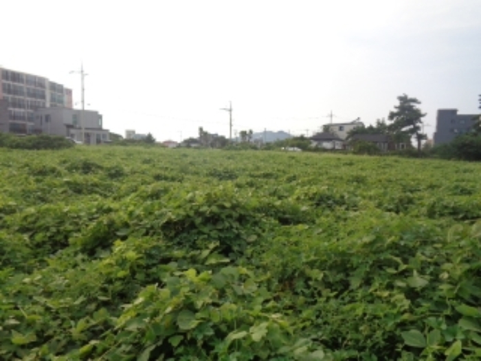 소재지1,4(협재리 1533-1, 1534) 전경 사진