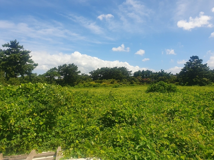 일련번호(2) 토지