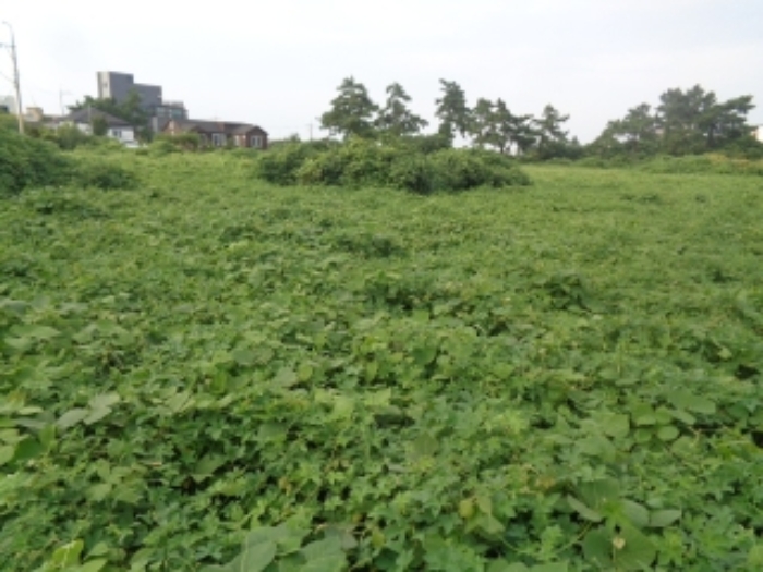 소재지1,5(협재리 1533-1, 1535) 전경 사진