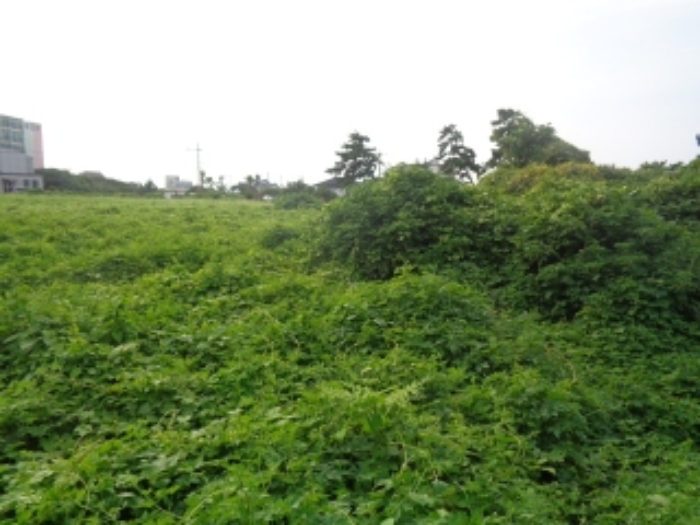 소재지2(협재리 1533-3) 전경 사진