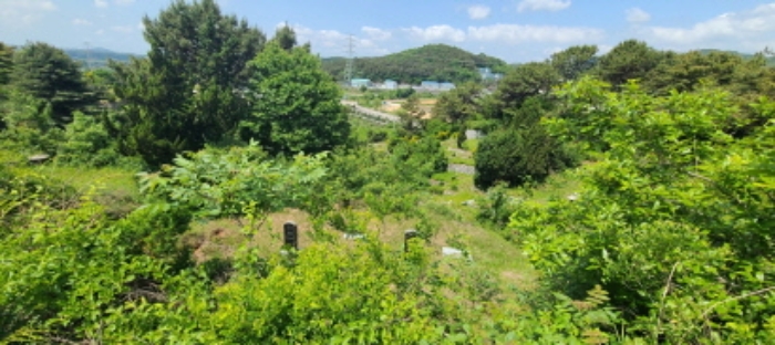 이건 목록 토지 전경(6)