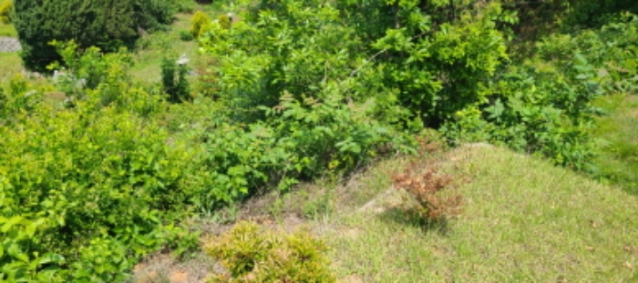 이건 목록 토지 전경(5)