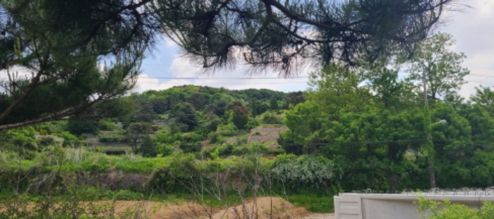 이건 목록 토지 전경(7)