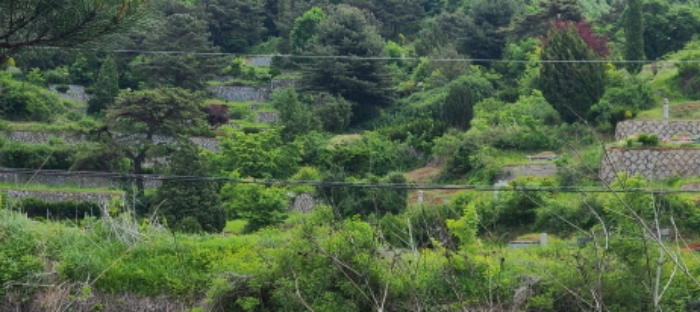 이건 목록 토지 전경(8)