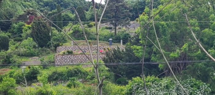 이건 목록 토지 전경(9)