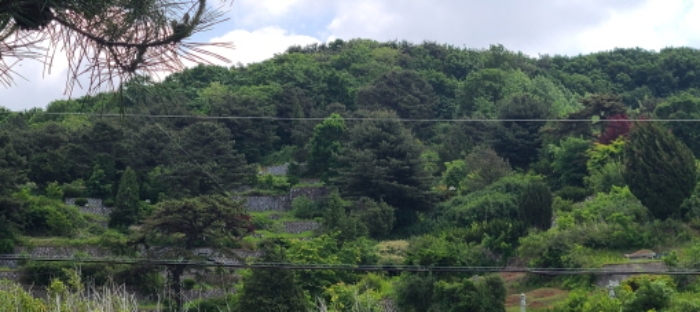 이건 목록 토지 전경(10)