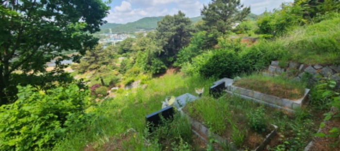 이건 목록 토지 전경(3)