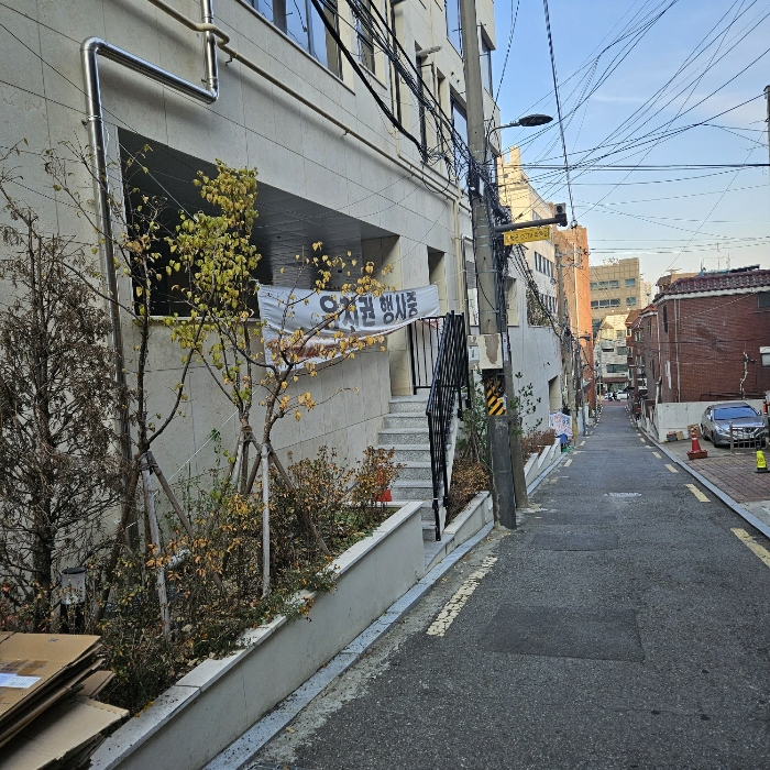 본건 토지 후면 지대