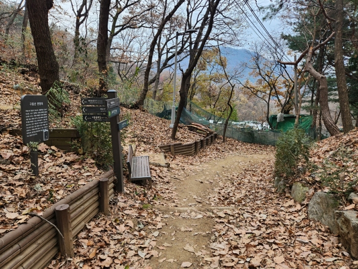 본건 인접 임도①