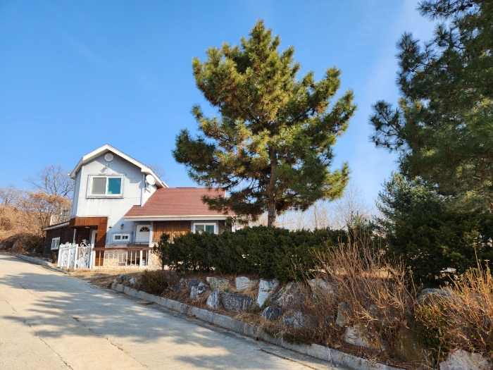 남서측에서 촬영