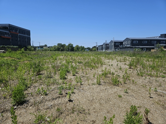본건 동측에서 본 모습