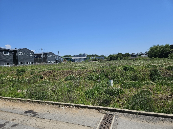 본건 서측 도로변에서 본 모습