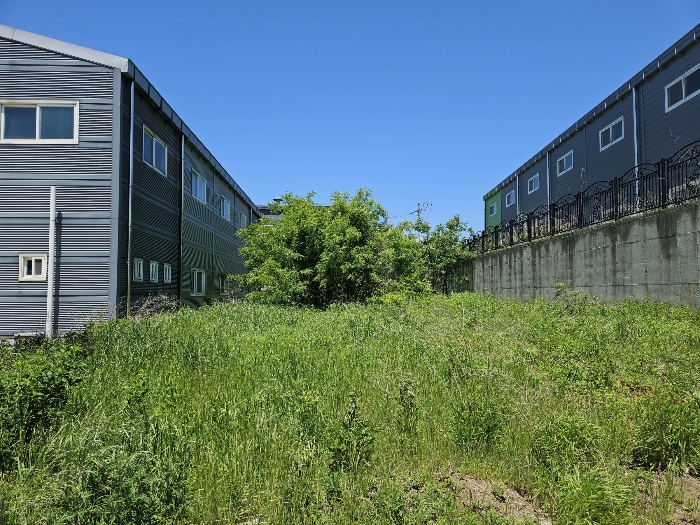 본건 기호8 토지 모습