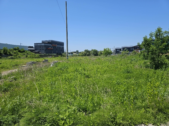 본건 동측 인접도로에서 본 모습