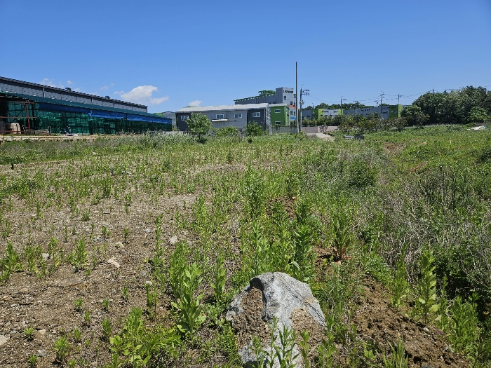 본건 남측에서 본 모습