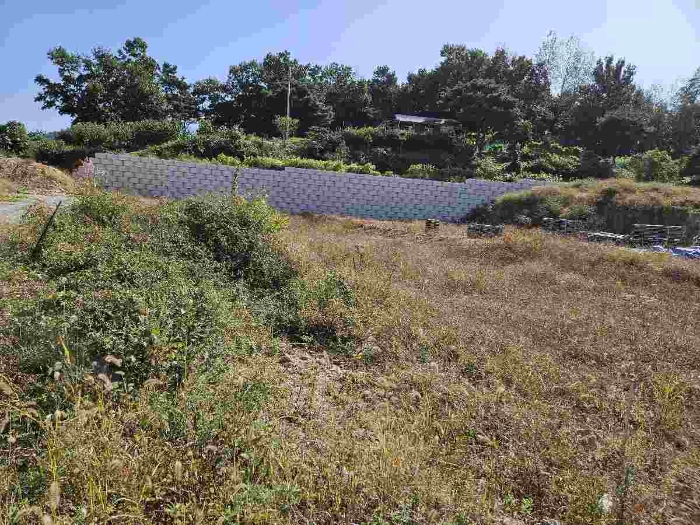 제시 목록 1 전경