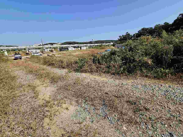 제시 목록 4 전경