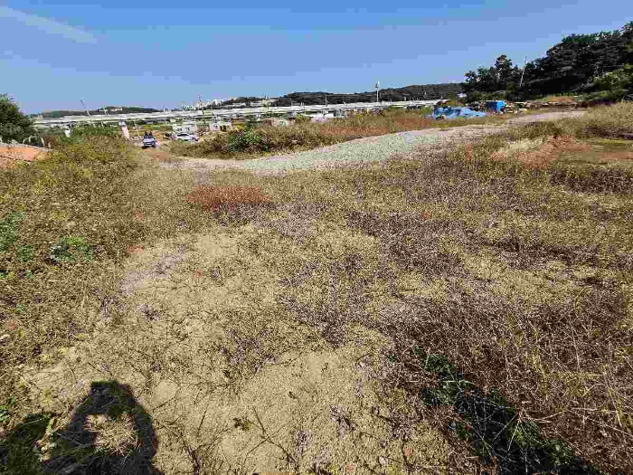 제시 목록 4 전경