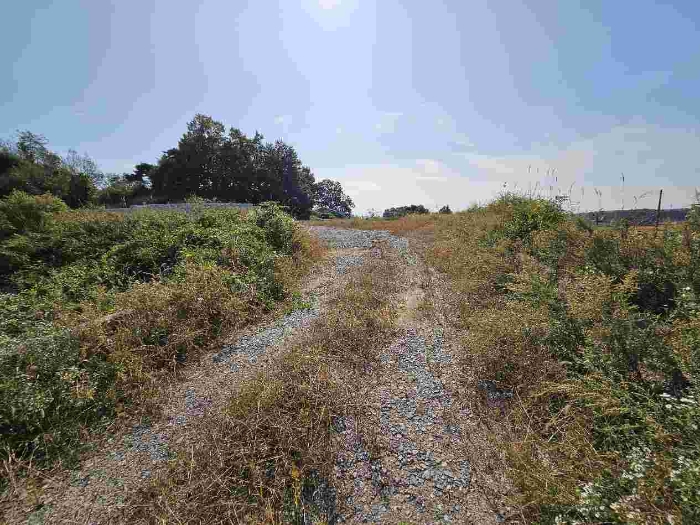 제시 목록 4 전경