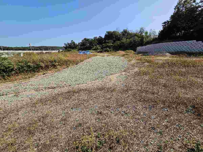 제시 목록 4 전경