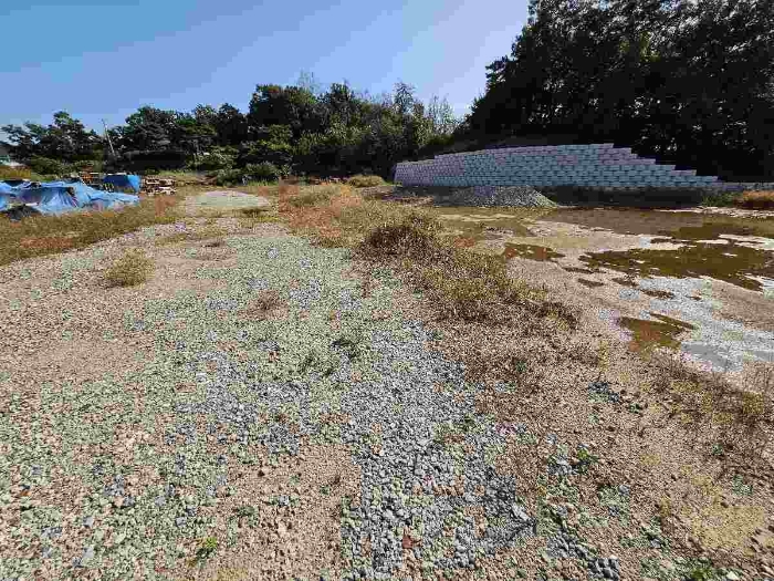 제시 목록 4 전경