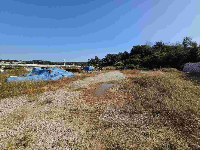 제시 목록 4 전경