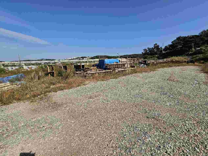 제시 목록 4 전경