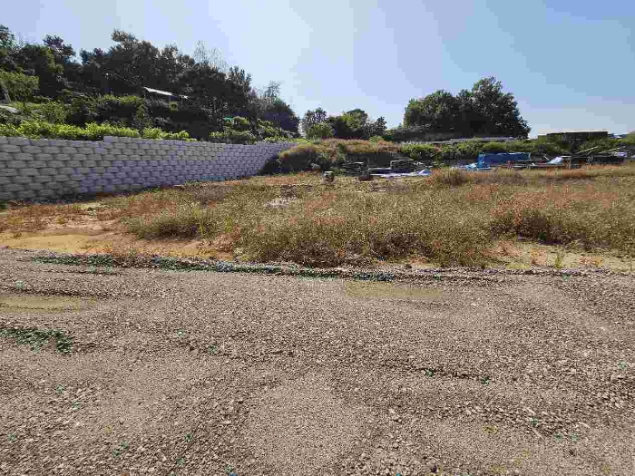 제시 목록 1 전경